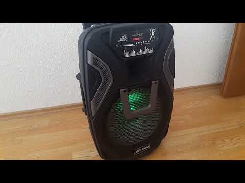 karaoke-bluetooth-zvuČnik-sa-dva-mikrofona-k8-12-model-2