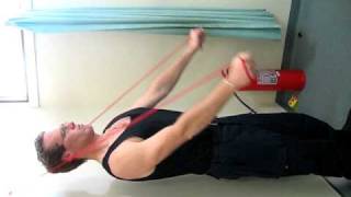 Reverse Standing Bar