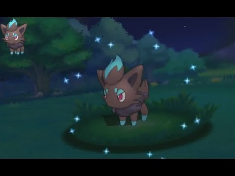 3ds ポケモン Oras Shiny Zorua 色違い ゾロア 色違 索羅亞 Youtube