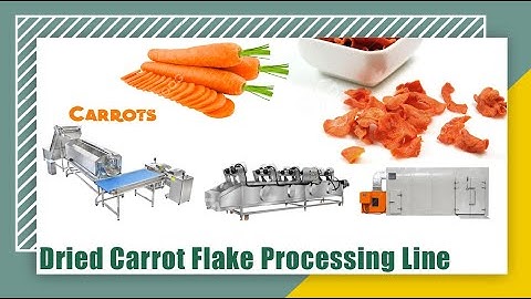 Carrot Processing Dehydrating Line Washing Peeling Slicing Drying-How To Dehydrate Carrot Chips?