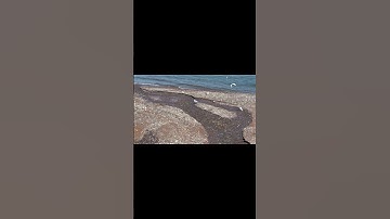 Thumbnail of The Sea and Seagulls #song #songs