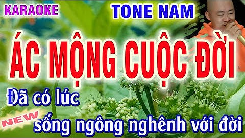 karaoke Ác Mộng Cuộc Đời - Đoàn Lâm -những lời dối gian - tone Nam