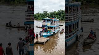 Why the Amazon River has No Bridges? (7 Shocking Facts)