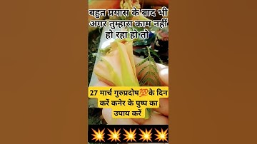 27 मार्च गुरु प्रदोष के दिन कनेर के पुष्प का उपाय 💯💥🌺#pradeepmishra#upay#shortsfeed#shiv#facts