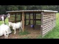Our Goat Shelter Using Free Pallets