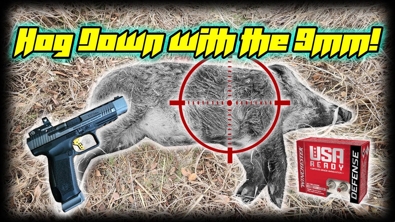 Hog Hunting with a 9mm Pistol! Canik TP9SFX! YouTube