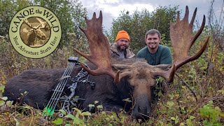 Maine Moose Hunting,  Richard&#39;s Successful Bow Hunt
