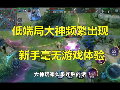 王者荣耀：低端局大神频繁出现，新手毫无游戏体验