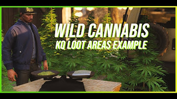 FiveM Script | Wild Cannabis [ESX + QB] [FREE] | KuzQuality