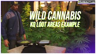 FiveM Script | Wild Cannabis [ESX + QB] [FREE] | KuzQuality