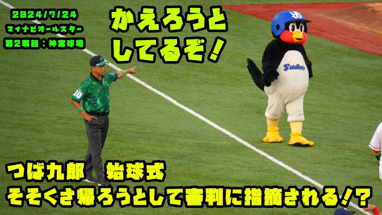 つば九郎　始球式でそそくさ帰ろうとして審判に指摘される！？　2024/7/24 マイナビオールスターゲーム2024　第２戦：明治神宮球場
