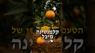 קלמנטינה מיכל - הקלמנטינה אהובה בישראל🍊