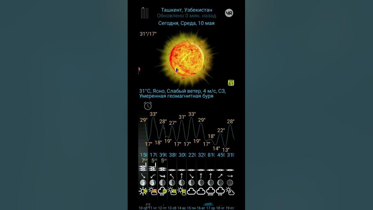 Погода ташкент на месяц 2024