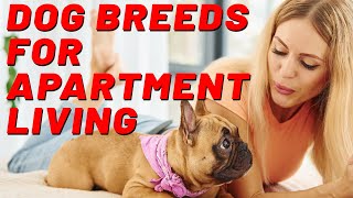 Dog Breeds for Apartment Living by Deer Lodge Wildlife & Nature Channel 93 views 9 months ago 1 minute, 37 seconds