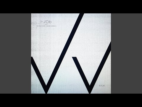 HVOB and Winston Marshall - The Blame Game