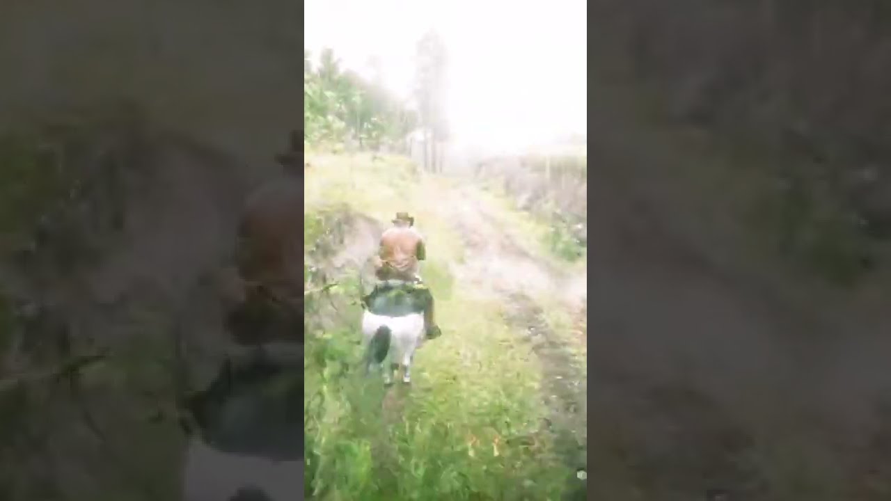 If you don’t attack the Murfrees ambushing you, this happens RDR2