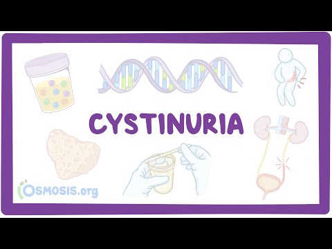 Video: Este cistinuria moștenită genetic?