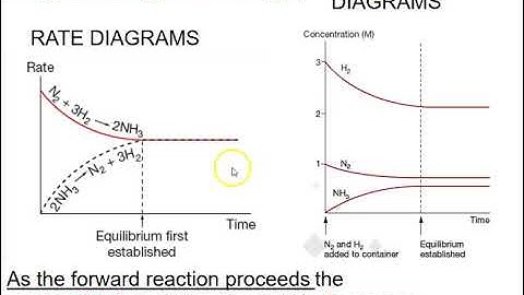 Year 12 Ch8 1a Concentration Time and Rate Time Graphs