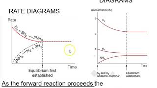 Celebrity Year 12 Ch8 1a Concentration Time and Rate Time Graphs Net Worth