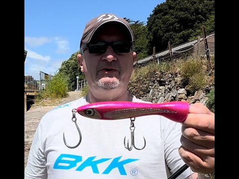 Leurre Flottant FCL Labo Ebi SC 150 Mm 50g - Popper CAP, Pêche En Mer, Fait Main