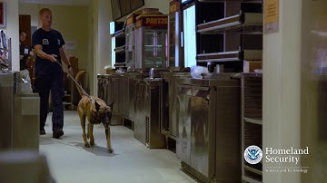 Regional Explosives Detection Dog Initiative - REDDI