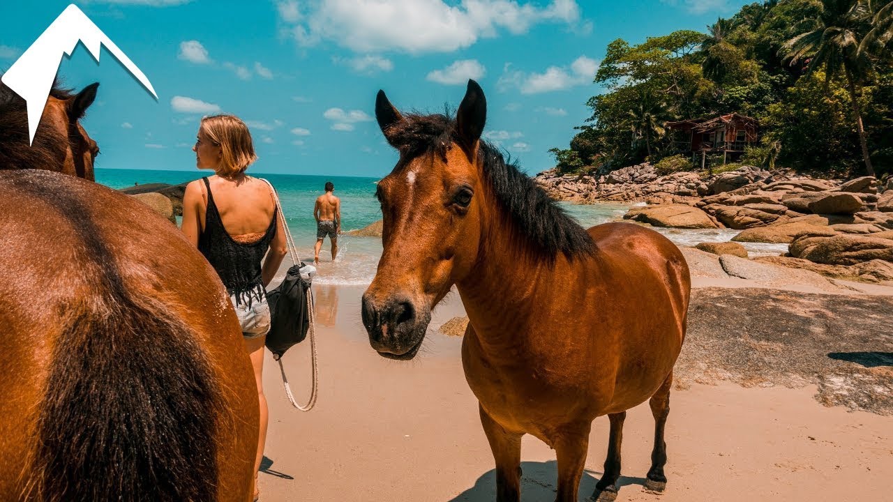 You Need To Go Here Koh Phangan Thailand Koh Phangan Thailand