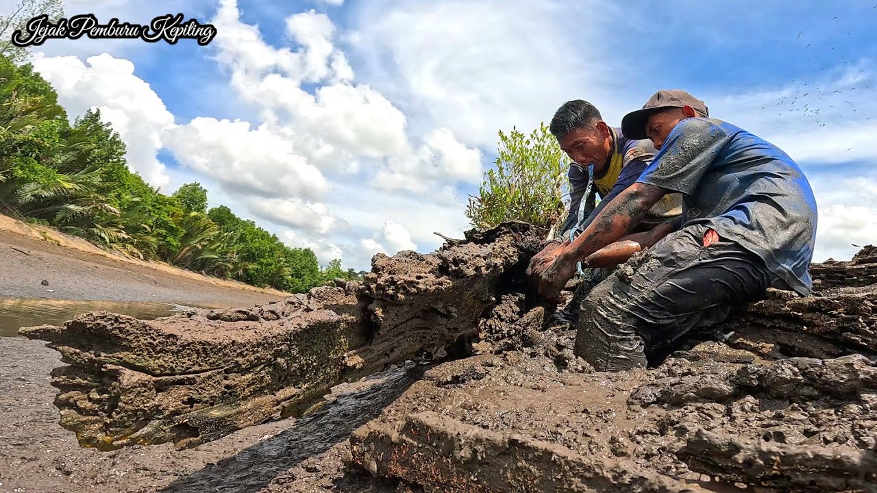 Rezeki ramadhan berburu kepiting bakau raksasa bersama para petani di tambak yang mengering