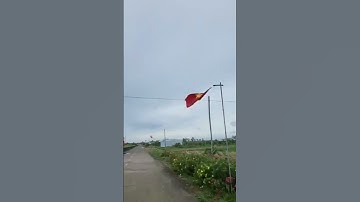 Đường Đến Hòn Đá Bạc, Cà Mau#shorts