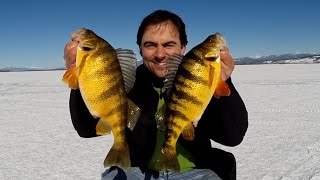How to Ice Fishing: Cascade Lake Jumbo Perch