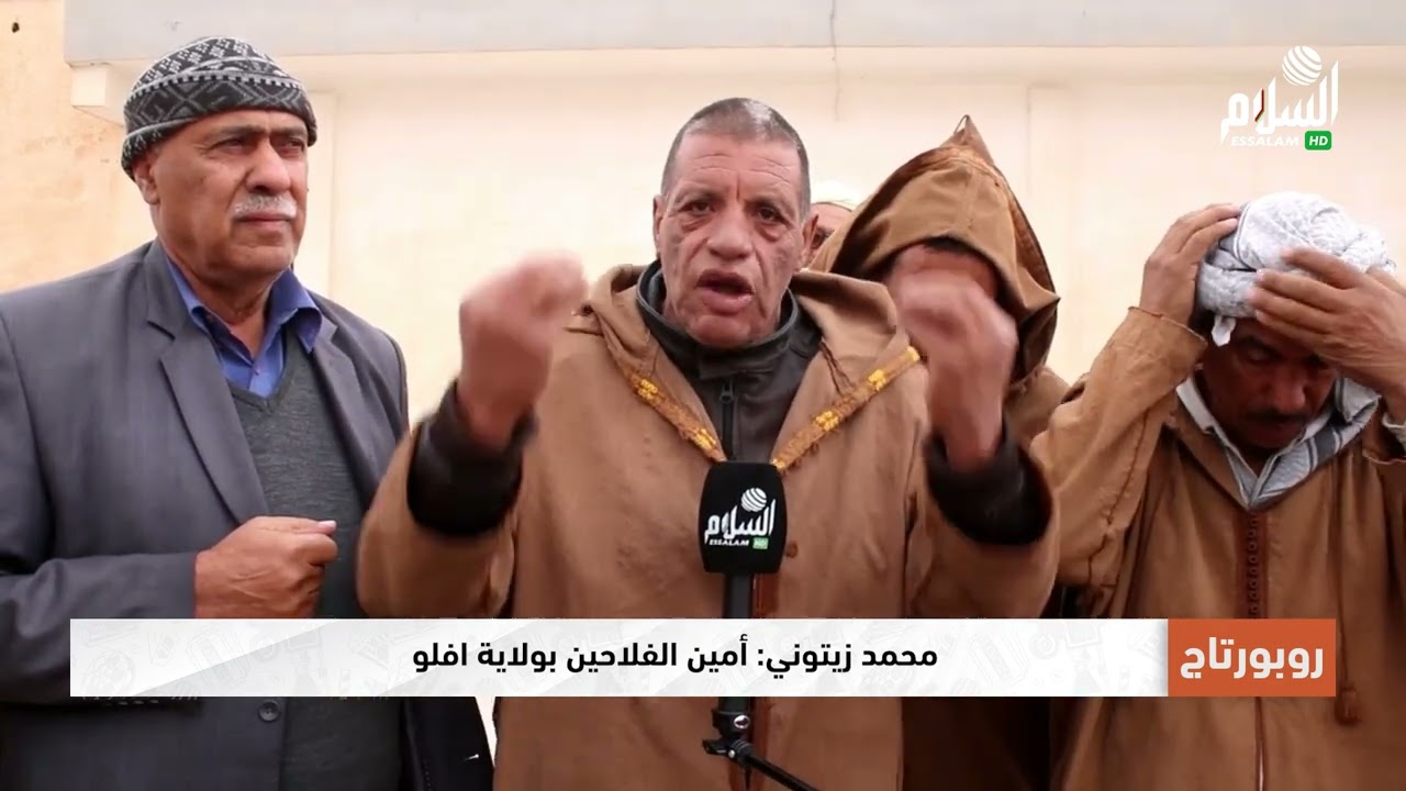 #الأغواط   رؤساء التعاونيات يناشدون وزير الفلاحة بالنظر في توزيع الاعلاف