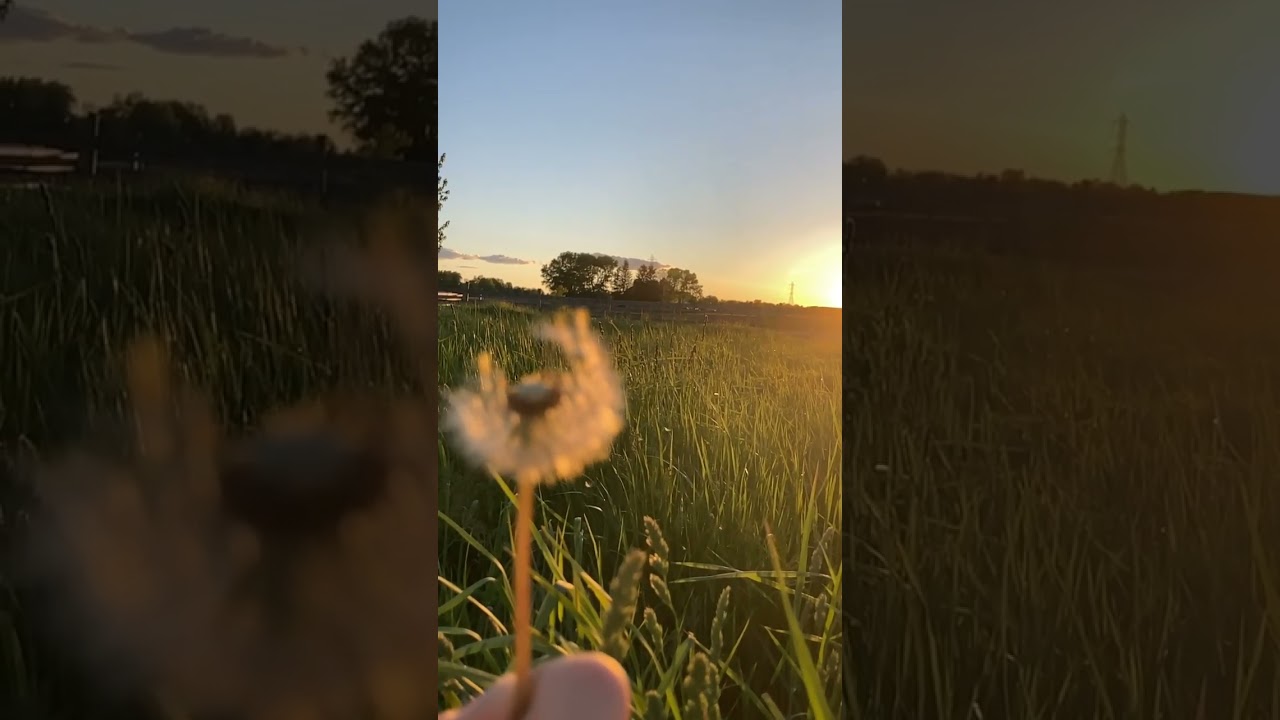 How to Protect Yourself from Zina | Mufti Menk