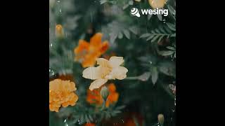 Download Lagu RINDU BERAT - Itje Trisnawati MP3