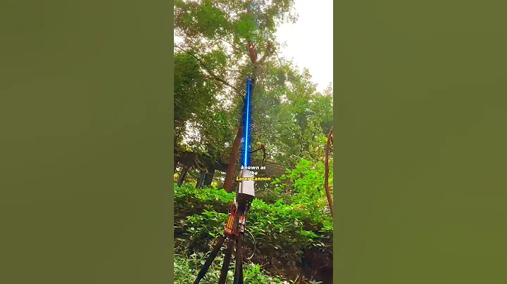 Cutting trees with Powerful Laser.