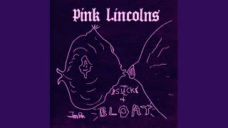 Video thumbnail of "Pink Lincolns - Sleeping Song"