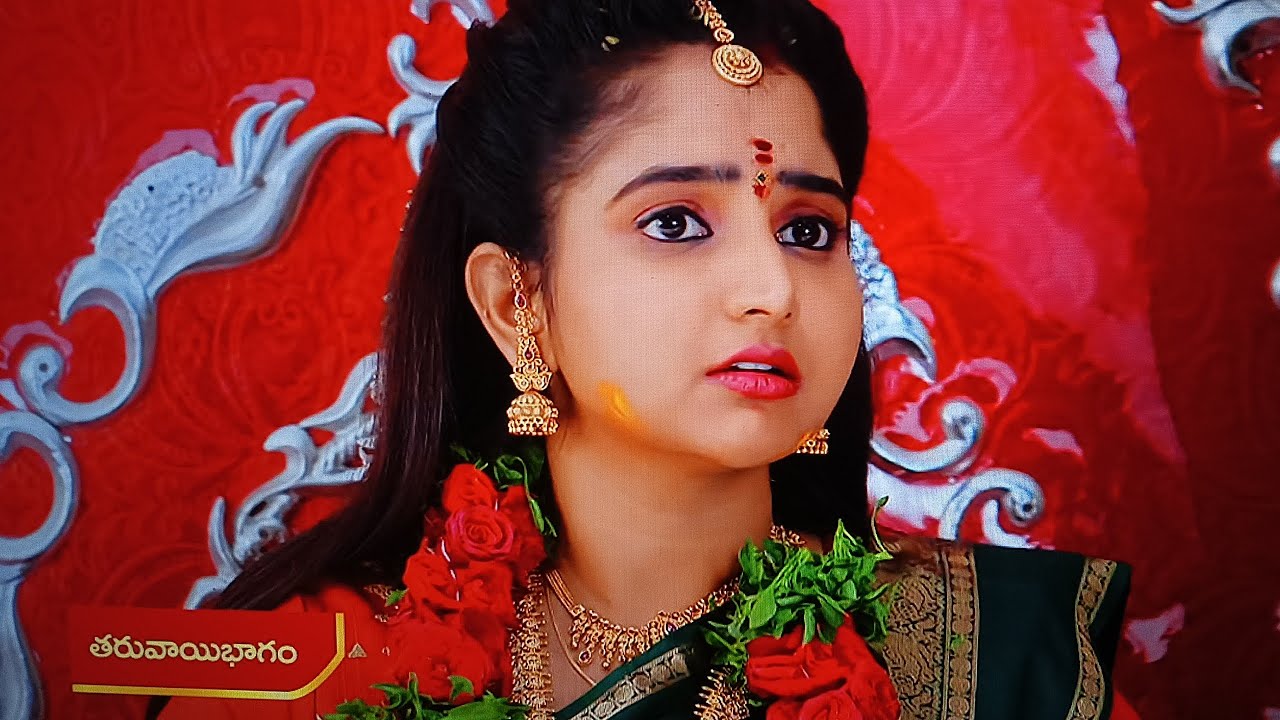 రుద్రాణి గుట్టు బయట పెట్టిన కనకం