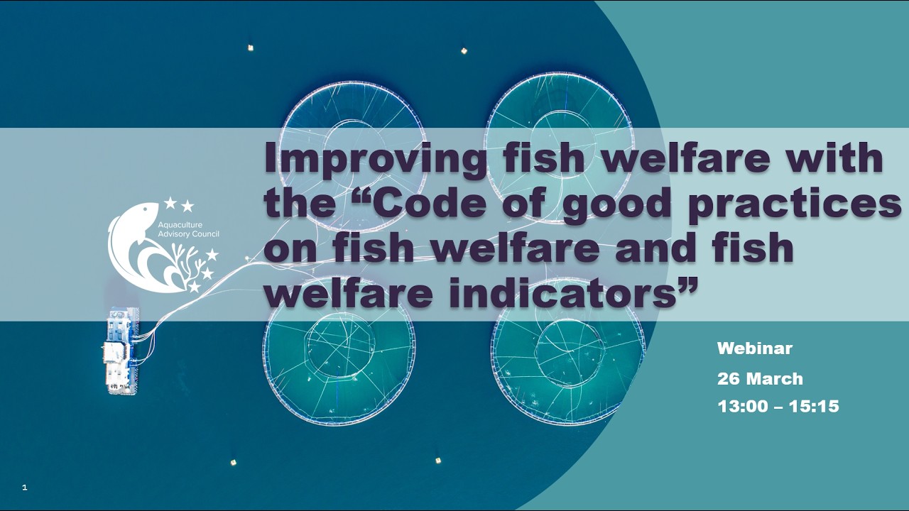AAC Webinar – Code of good practices on fish welfare and fish welfare indicators