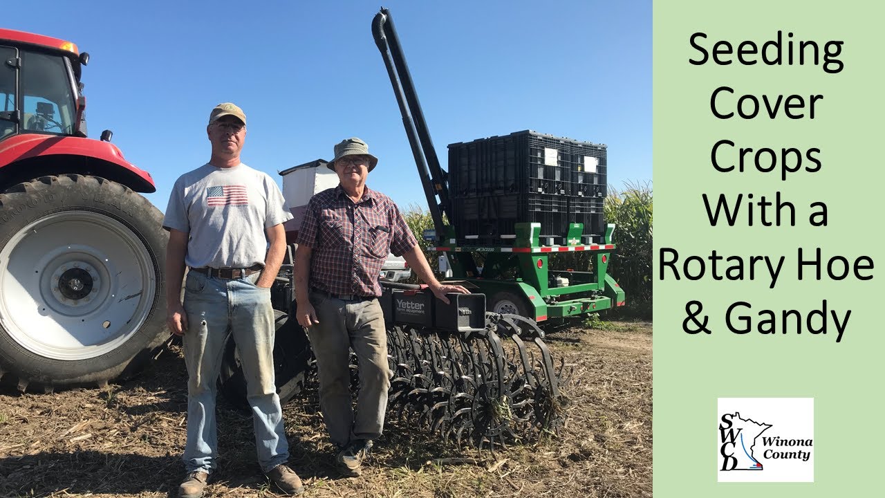 Seeding Cover Crops with a Rotary Hoe YouTube