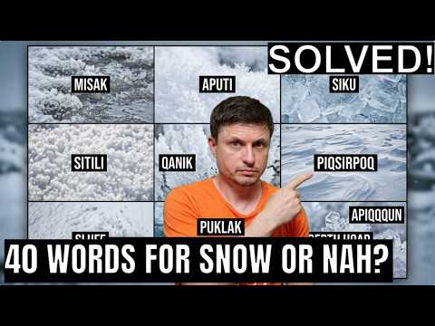 Thumbnail for Do Arctic Languages Really Have 40 Words for Snow? New Evidence