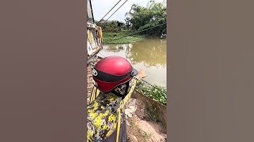 Chân cầu này lại ẩn chứa quá nhiều loại cá! #cauca #fishing #shorts