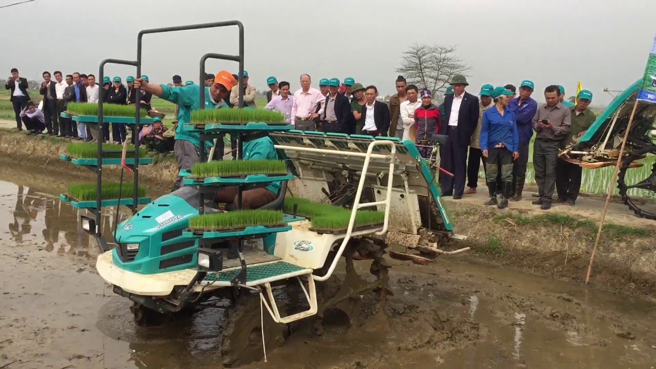 Kubota Hải Dương Trình diễn mô hình mạ khay máy cấy Kubota  tại xã Kim Anh, Kim Thành, Hải Dương