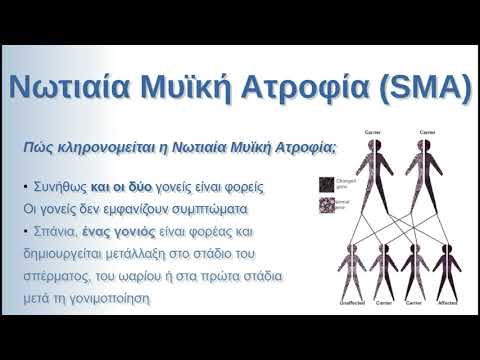 Νωτιαία Μυϊκή Ατροφία (SMA)