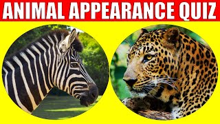 Animal Appearances Quiz |  Quiz Game for Kids, Preschoolers and Kindergarten by Kiddopedia 117,341 views 11 months ago 8 minutes, 40 seconds