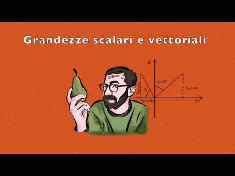 Video: Differenza Tra Quantità Scalare E Quantità Vettoriale