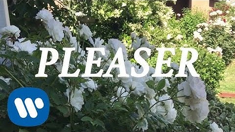 Wallows - Pleaser (Lyric Video)