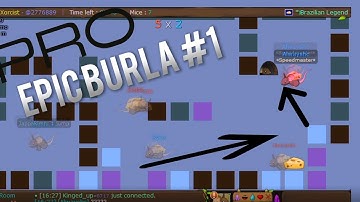 Transformice - Alwayshc first with BURLA [HARD - NORMAL]