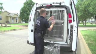 City of Wichita 2016 Budget Social Media Town Hall - Animal Control
