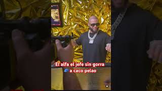 El Alfa Sin Gorra