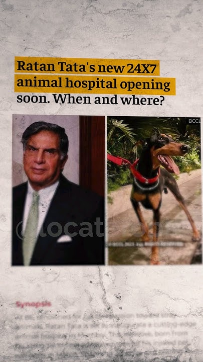 ratan-tata-animal-hospital-peepalfarm-youtube