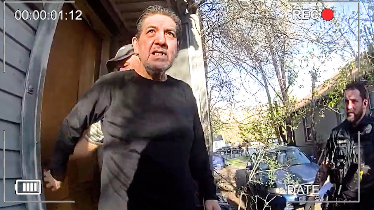 Собиратель собак арестован после обнаружения 175 собак