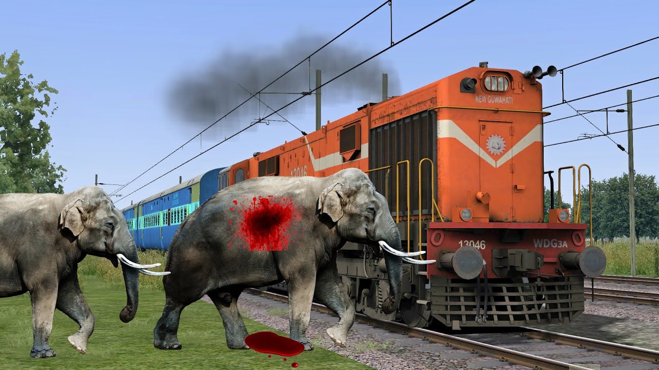 Crazy Elephant STops The Train And Escapes In Train simulator | Funny Videos